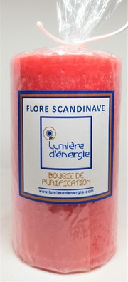Flore Scandinave