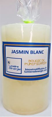 Jasmin blanc