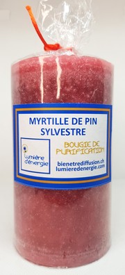 Myrtille de Pin Sylvestre