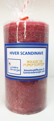 Hiver Scandinave